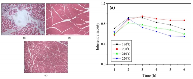 Synthesis of Poly(glycolide-caprolactone) Copolymers for Application as Bioabsorbable Suture Materials