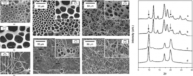 Morphology and crystal structure on electrospun fibrous poly(1-butene)(PB) membrane