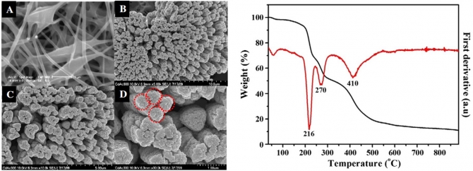 Synthesis and study of the photoluminescence and optical characteristics of Cd/CdO nanorods prepared by the electrospinning process