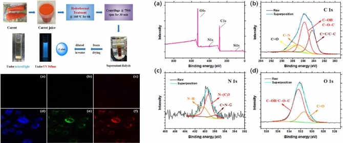 Green synthesis of fluorescent carbon dots from carrot juicefor in vitro cellular imaging