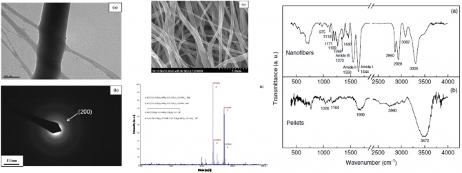 Preparation and characterization of electrospun ultrafine polymide-6 nanofibers