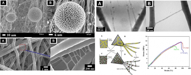 Spider-net within N6  PVA and PU electrospun nanofiber mats using salt addition: Novel strategy in the electrospinning process