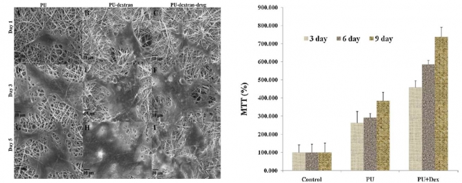 Wound-dressing materials with antibacterial activity from electrospun polyurethane–dextran nanofiber mats containing ciprofloxacin HCl