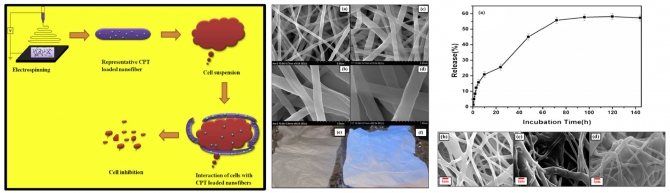 Camptothecin loaded poly(epsilon-caprolactone)nanofibers via one-step electrospinning and their cytotoxicity impact