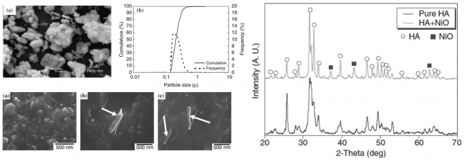 Observation of Toughness Improvement of the Hydroxyapatite Bioceramics Densified Using High-Frequency Induction Heat Sintering