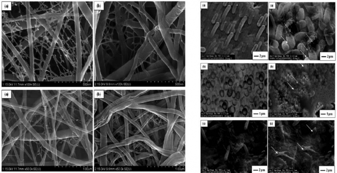 Preparation of nylon-6/chitosan composites by nanospider technology and their use as candidate for antibacterial agents