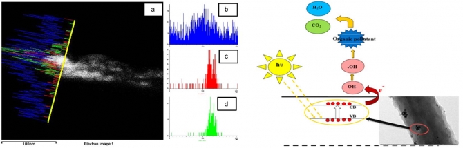 Encapsulation of CoS nanoparticles in PAN electrospun nanofibers: Effective and reusable catalyst for ammonia borane hydrolysis and dyes photodegradation