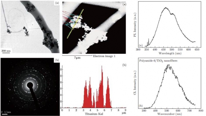 Synthesis and Electrical Properties of TiO2 Nanoparticles Embedded in Polyamide-6 Nanofibers Via Electrospinning