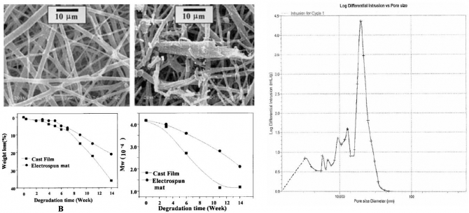 Biodegradable electrospun mat: Novel block copolymer of poly(p-dioxanone-co-L-lactide)-block-poly(ethylene glycol)  