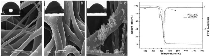 Fabrication of polymeric microfibers containing rice-like oligomeric hydrogel nanoparticles on their surface : A novel strategy in the electrospinning process 