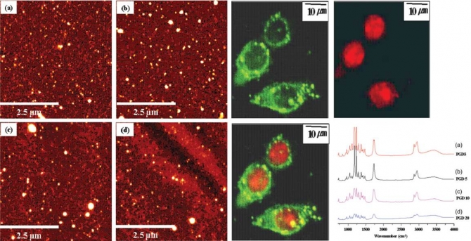 Preparation,  characterization,  in-vitro drug release and cellular uptake of poly(caprolactone) grafted dextran copolymeric nanoparticles loaded with anticancer drug