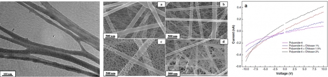 Preparation and electrical characterization of polyamide-6/chitosan composite nanofibers via electrospinning