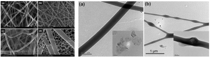 RGO/Nylon-6 Composite Mat with Unique Structural Features and Electrical Properties Obtained from Electrospinning and Hydrothermal Process