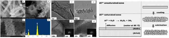 Synthesis of aluminium oxide nanoflakes on hollow periphery by hydrothermal coating using elctrospun poly(acrylnitrile) nanofibers template