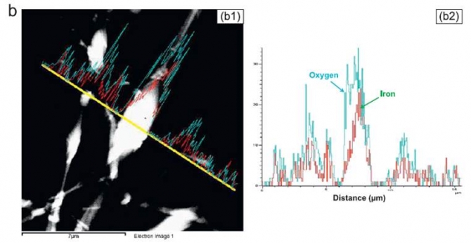 Electrical characterization of nylon-6 composite nanofibers