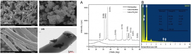 Carbon nanofibers decorated with binary semiconductor (TiO2/ZnO) nanocomposites for the effective removal of organic pollutants and the enhancement of antibacterial activities