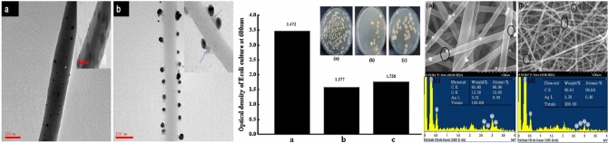 Characterization and antibacterial properties of Ag NPs loaded nylon-6 nanocomposite prepared by one-step electrospinning process