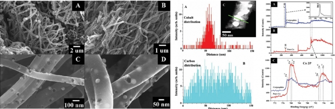 Cobalt nanofibers encapsulated in a graphite shell by an electrospinning process