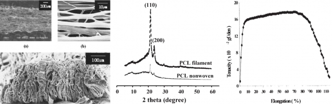 Novel Fabricated Matrix Via Electrospinning for Tissue Engineering