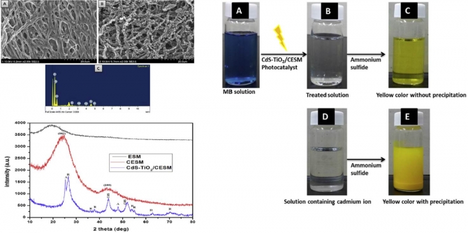 CdS-TiO2 decorated carbonized eggeshell membrane for effective removal of organic pollutants: A novel strategy to use a waste material for environmental remediation