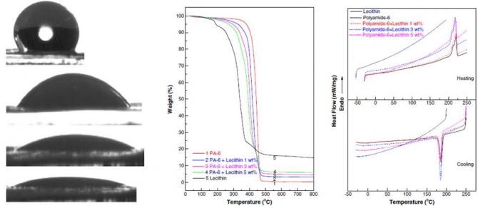 Lecithin blended polyamide-6 high aspect ratio nanofiber scaffolds via electrospinning for human osteoblast cell culture