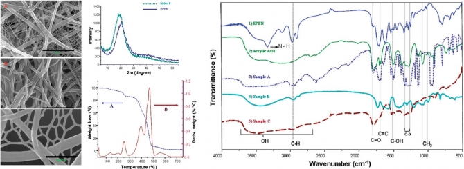 Synchronized Polymerization and Fabrication of Poly(acrylic acid) and Nylon Hybrid Mats in Electrospinning