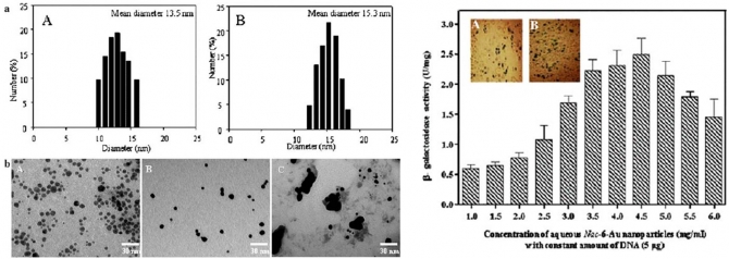 Hydrophobically modified chitosan/gold nanoparticles for DNA delivery