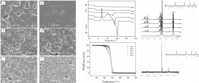 Synthesis and Hydrolytic Degradation of a Random Copolymer Derived from 1,4-Dioxan-2-one and Glycolide