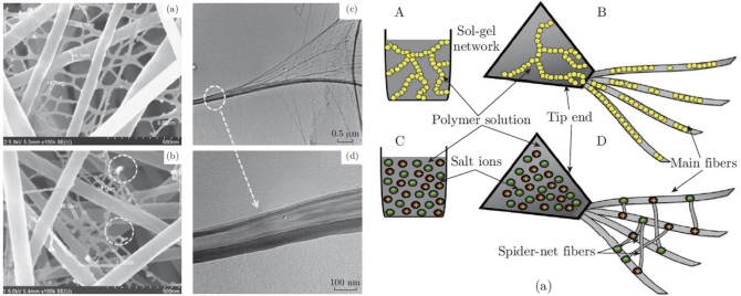 Recent Progress on the Fabrication of Ultrafine Polyamide-6 Based Nanofibers Via Electrospinning: A Topical Review