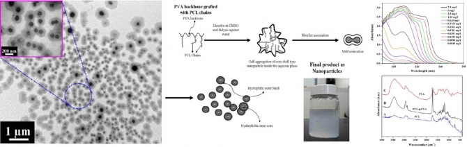 Novel self-assembled amphiphilic poly(e-caprolactone)-grafted-poly(vinyl alcohol) nanoparticles: hydrophobic and hydrophilic drugs carrier nanoparticles