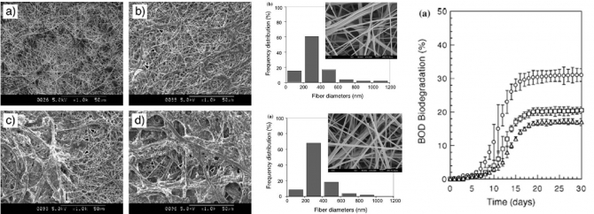Biodegradation of electrospun poly(epsilon-caprolactone) non-woven fabrics by pure-cultured soil filamentous fungi