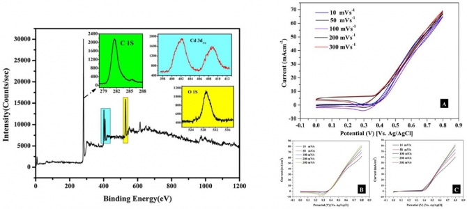 Ethanol electro-oxidation using cadmium-doped cobalt/carbon nanoparticles as novel non precious electrocatalyst