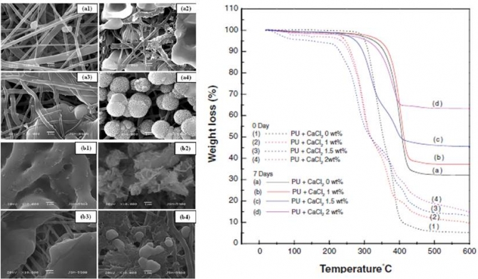 Hydroxyapatite Mineralization on the Calcium Chloride Blended Polyurethane Nanofiber via Biomimetic Method