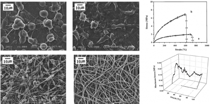 Electrospun nonwovens of shape-memory polyurethane block copolymers