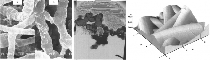 GeO2 fibers: Preparation, morphology and photoluminescence property