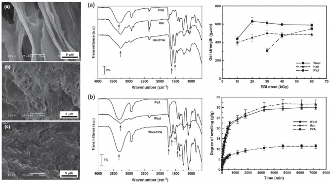 Preparation and characterization of keratin-based biocomposite hydrogels prepared by electron beam irradiation