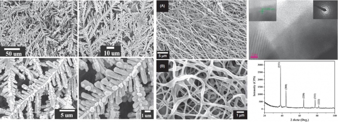 A New Class of Hierarchical Silver Nanostructures Enabled by Electrospinning and Novel Hydrothermal Treatment