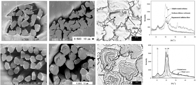 Preparation of regenerated cellulose fiber via carbonation (II)-Spinning and characterization-