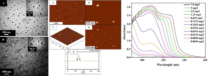 Self-assembled amphiphilic polyhedral oligosilsesquioxane (POSS) grafted  poly(vinyl alcohol) (PVA) nanoparticles