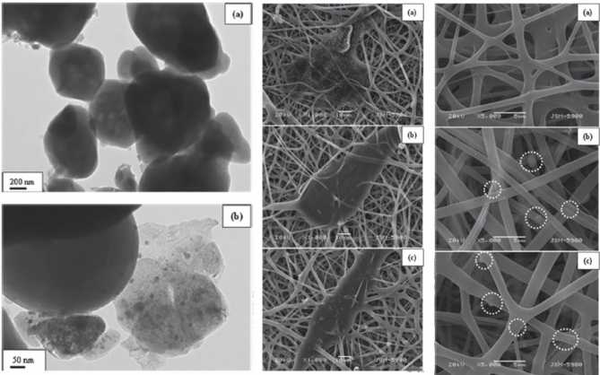 Silver-Loaded Biomimetic Hydroxyapatite Grafted Poly(ε-caprolactone) Composite Nanofibers: A Cytotoxicity Study