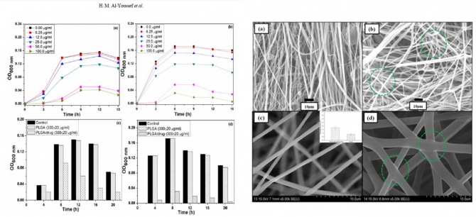 Herbal Drug Loaded Poly(D,L-lactide-co-glycolide) Ultrafine Fibers: Interaction with Pathogenic Bacteria