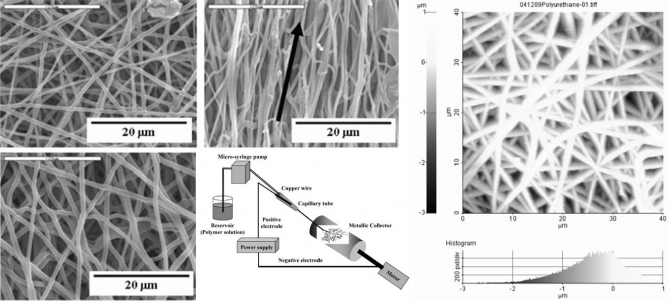 Stress-Strain Behavior of the Electrospun Thermoplastic Polyurethane Elastomer Fiber Mats