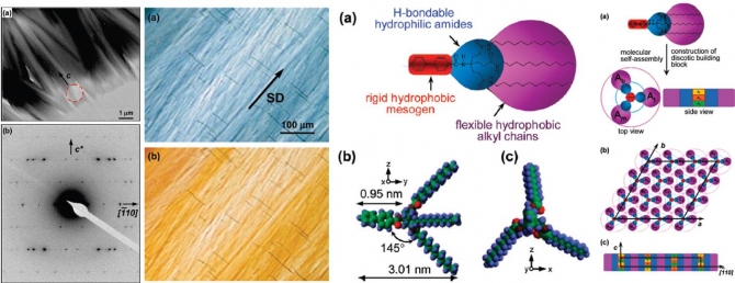 Columnar Structures from Asymmetrically Tapered Biphenylamide