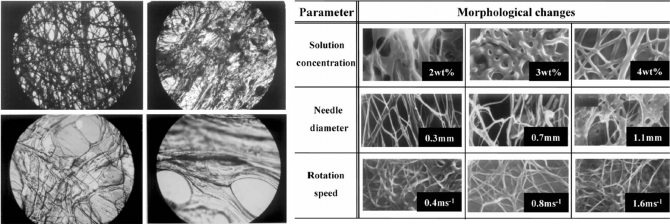 Preparation of Electrospun Oxidized Cellulose Mats and Their in vitro Degradation Behavior