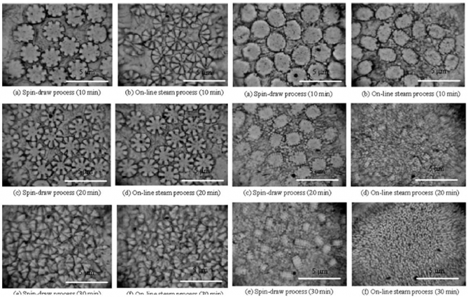 Formation and Properties of Polyester/CopolyesterConjugate Fibers Prepared by Ultra-High-Speed Melt Spinning Technique