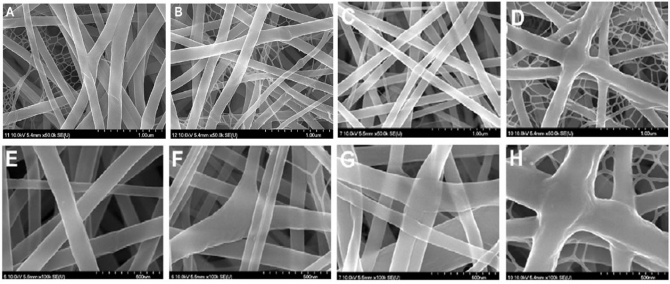 Effect of lactic acid on polymer crystallization chain conformation and fiber morphology in an electrospun nylon-6 mat