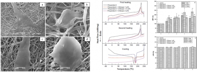 Preparation of polyamide-6/chitosan composite nanofibers by a single solvent system via electrospinning for biomedical applications