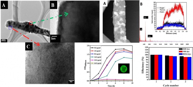 Cu0- doped TiO2 nanofibers as potential photocatalyst and antimicrobial agent