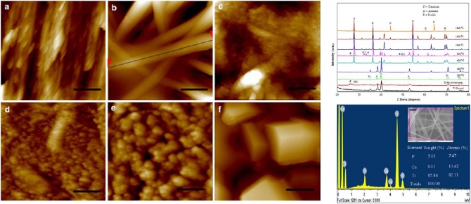 In Vitro bioactivity of sol-gel-derived hydroxyapatite pariculate nanofiber modified titanium