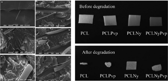 Improvement of tensile properties and tuning of the biodegradation behavior of polycaprolactone by addition of electrospun fibers